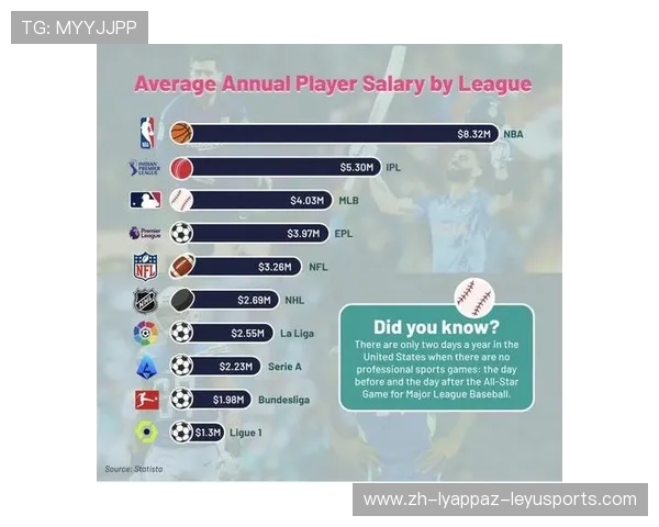 英超球员数据统计网站推荐及使用指南