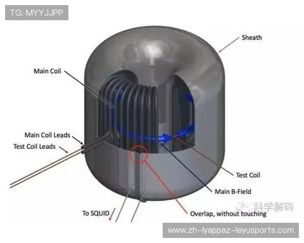 足球轴子暗物质候选对足球运动科技发展的启示