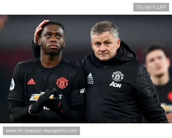 英超球队平均年龄排行及球队年轻化趋势 英超球队平均年龄排行及球队年轻化趋势